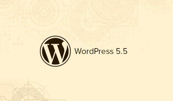 phiên bản WordPress 5.5
